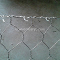 Groene kleur zeshoekig gat PVC gecoate Gabion-dozen